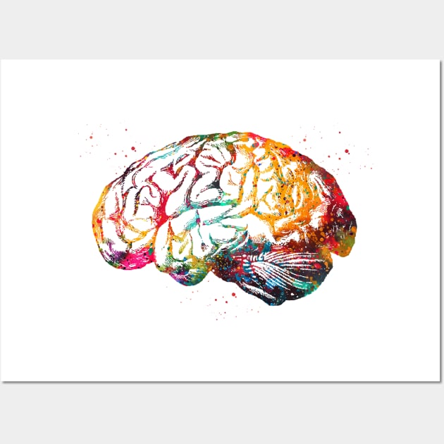 Human Brain Wall Art by erzebeth